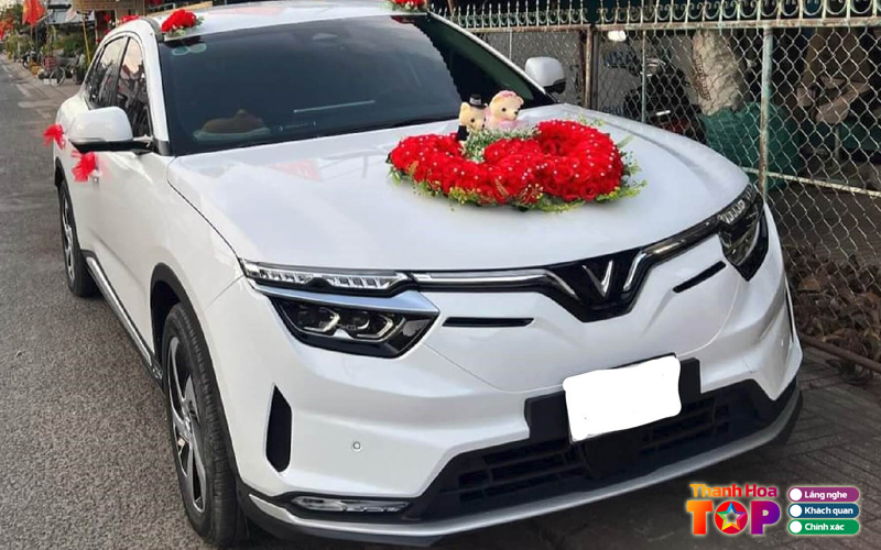 Cong-ty-tnhh-van-tai-du-lich-thanh-vinh-thanhhoatoplist