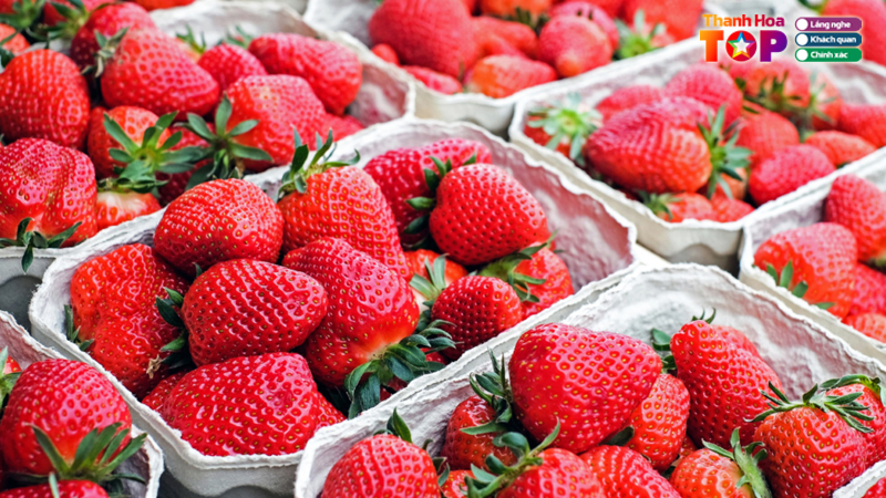 Top-5-dia-chi-mua-dau-tay-thanh-hoa-chat-luong-an-toan