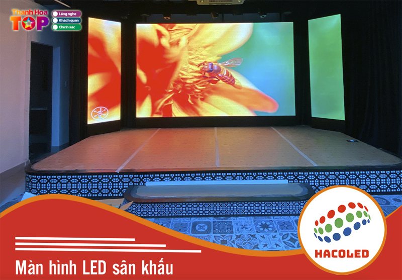 Tam-quan-trong-cua-viec-lua-chon-thiet-bi-hien-thi-cho-phong-hop-va-hoi-truong