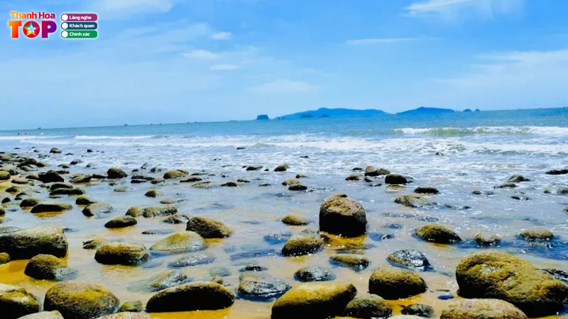 Hoat-dong-du-lich-tai-bai-dong-thanhhoatoplist