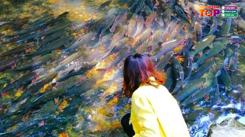 Kham-pha-van-hoa-va-tam-linh-suoi-ca-than-thanh-hoa-thanhhoatoplist-1