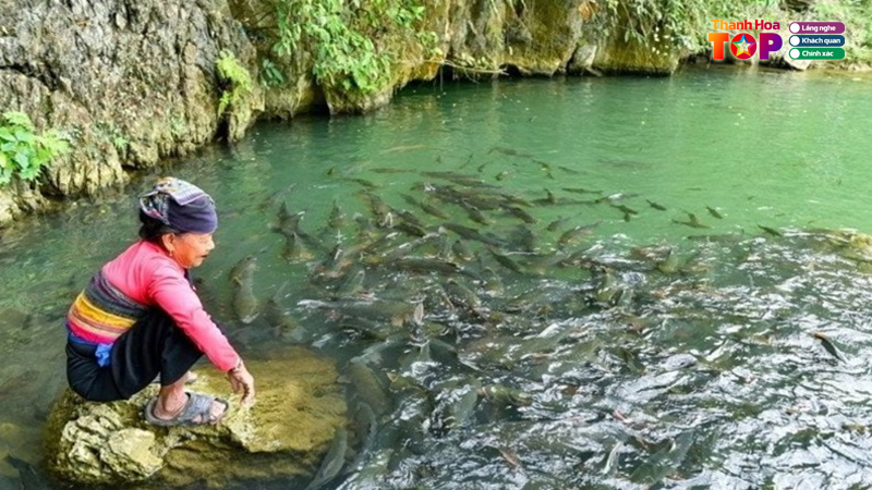 Kham-pha-van-hoa-va-tam-linh-suoi-ca-than-thanh-hoa-thanhhoatoplist