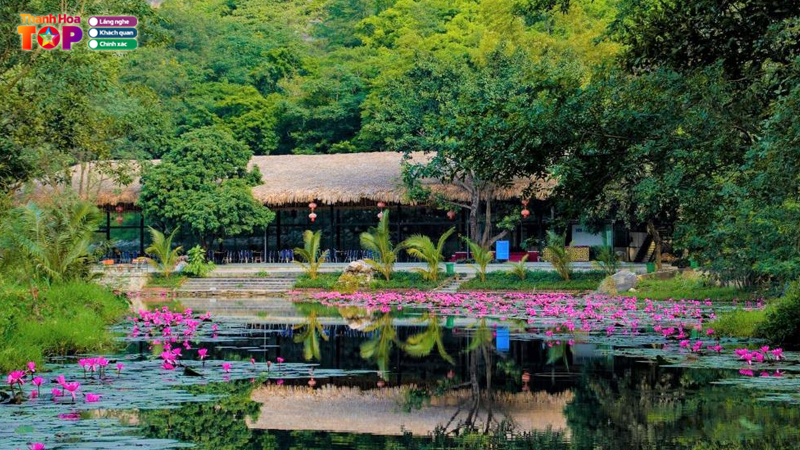 Khu-du-lich-kim-son-thanh-hoa