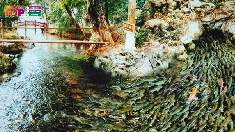 Nhung-net-doc-dao-cua-suoi-ca-than-thanhhoatoplist-1