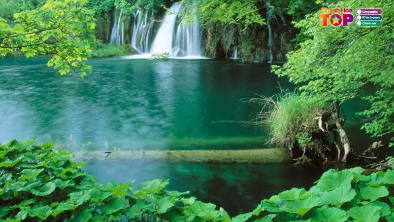 Tong-quan-ve-khu-du-lich-ben-en-thanhhoatoplist-1