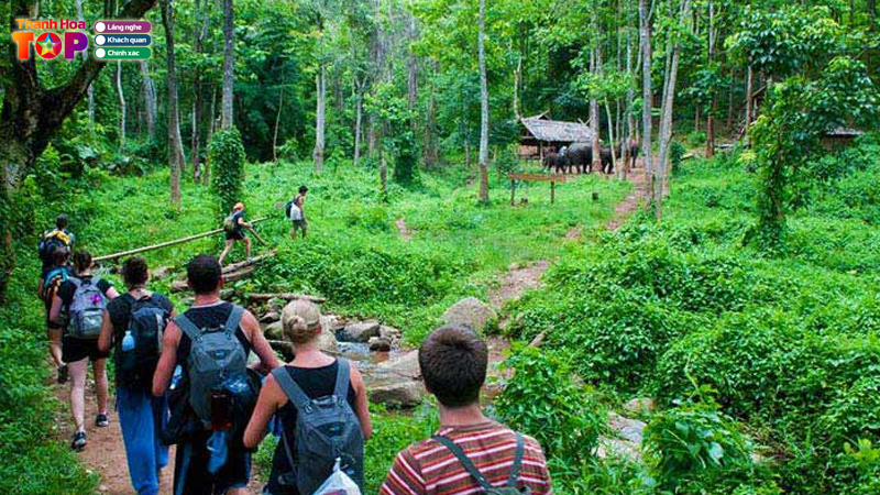 Ve-dep-thien-nhien-cua-vuon-quoc-gia-cuc-phuong-thanhhoatoplist