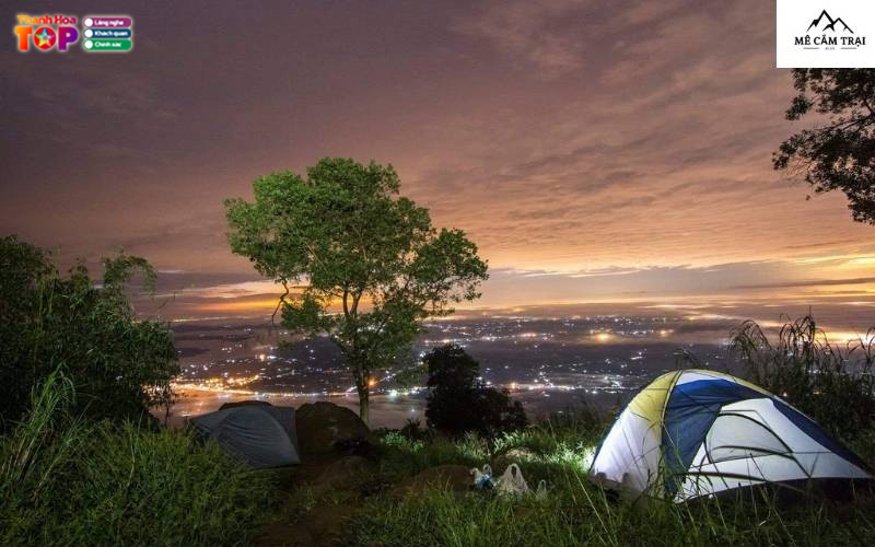 Gioi-thieu-ve-trang-web-me-cam-trai-thanhhoatoplist