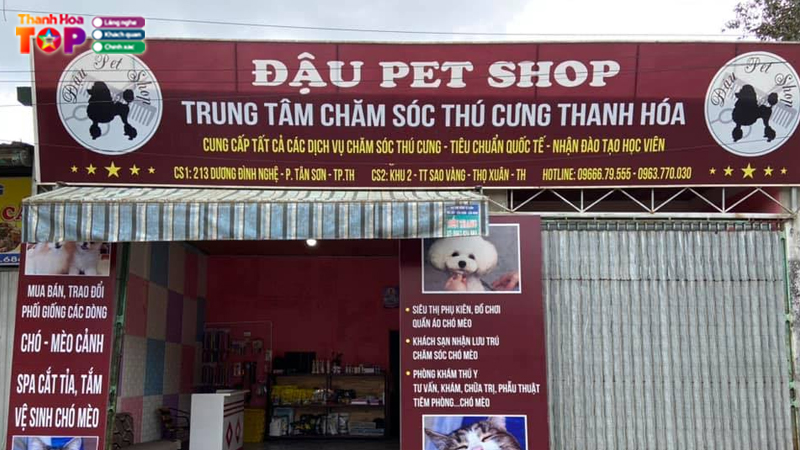 Dau-pet-shop-thanhhoatoplist
