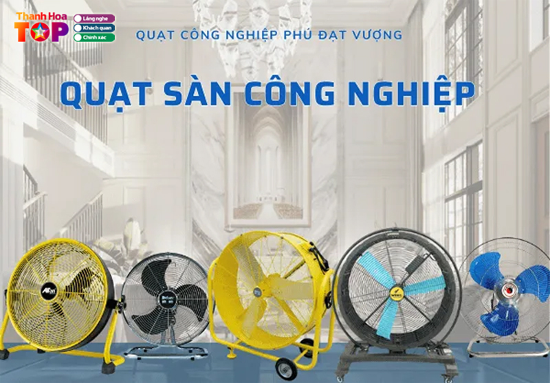 Quat-phu-dat-vuong-thanhhoatoplist