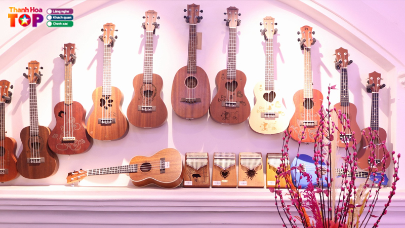 Shop-dan-ukulele-thanh-hoa