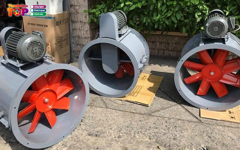 Cong-ty-co-phan-lo-hoi-thanh-hoa-thanhhoatoplist