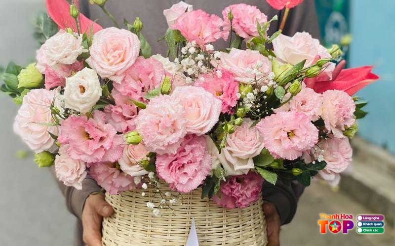 Hoa-tuoi-anh-tho-thanhhoatoplist