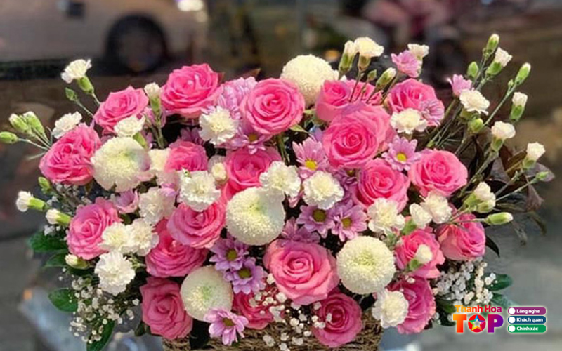 Hoa-tuoi-em-dung-thanhhoatoplist