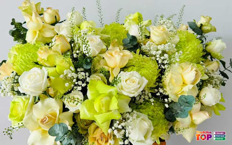 Hoa-tuoi-gia-nhi-thanhhoatoplist