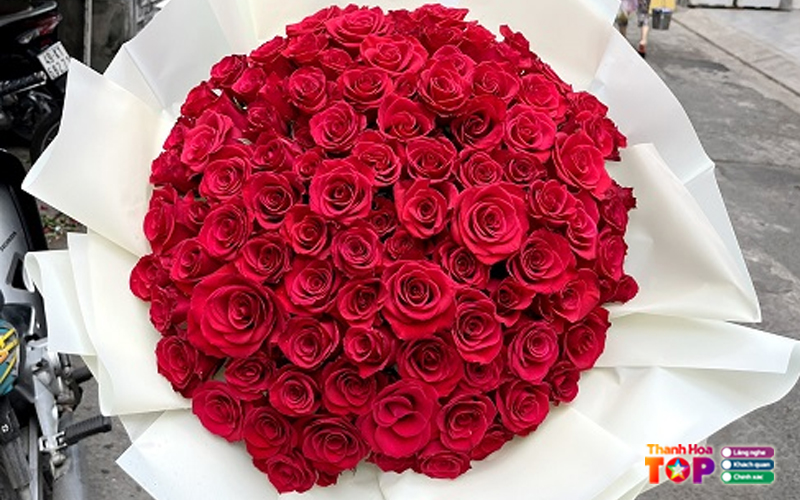 Hoa-tuoi-quynh-nhu-thanhhoatoplist