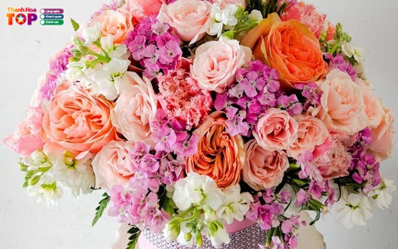 Hoa-tuoi-thanh-hieu-thanhhoatoplist