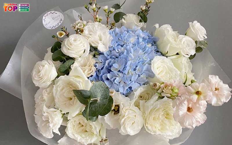 Ngoc-lan-fruit-thanhhoatoplist