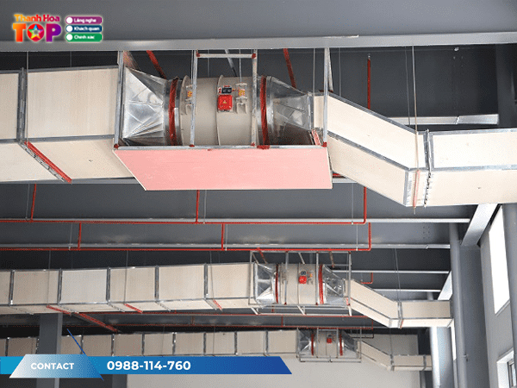 Quat-huong-truc-phu-dat-vuong-co-hieu-suat-vuot-troi-trong-cong-nghiep-5