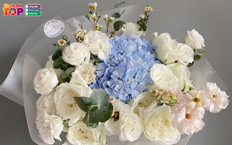 Shop-hoa-kim-oanh-thanhhoatoplist