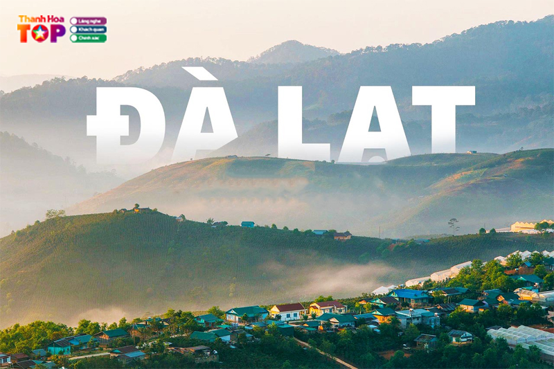 Sleep-box-da-lat-lua-chon-luu-tru-gia-tot-view-dep-cho-du-khach-2