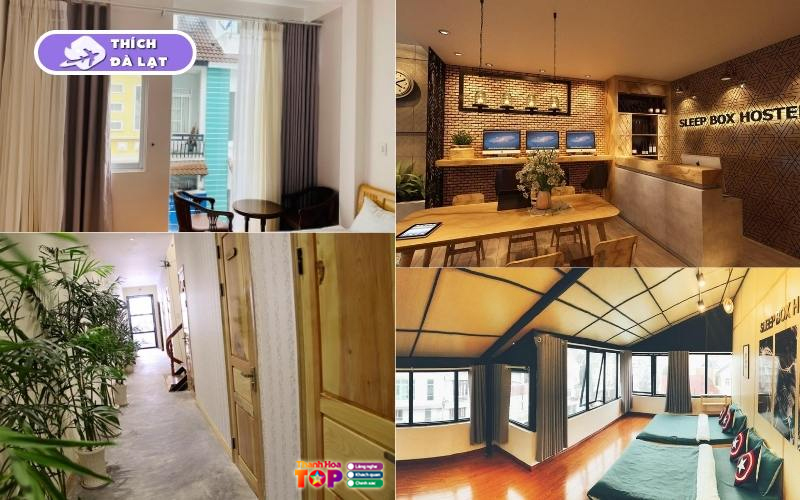 Sleep-box-da-lat-lua-chon-luu-tru-gia-tot-view-dep-cho-du-khach-3