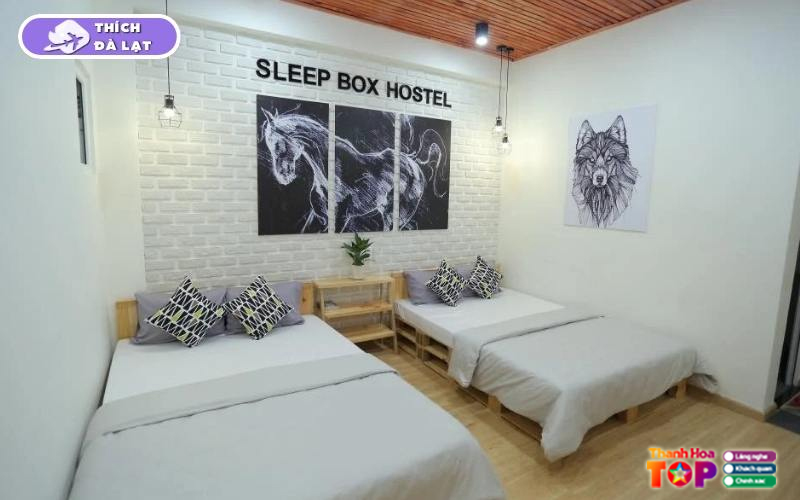Sleep-box-da-lat-lua-chon-luu-tru-gia-tot-view-dep-cho-du-khach-4