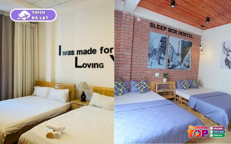 Sleep-box-da-lat-lua-chon-luu-tru-gia-tot-view-dep-cho-du-khach-5