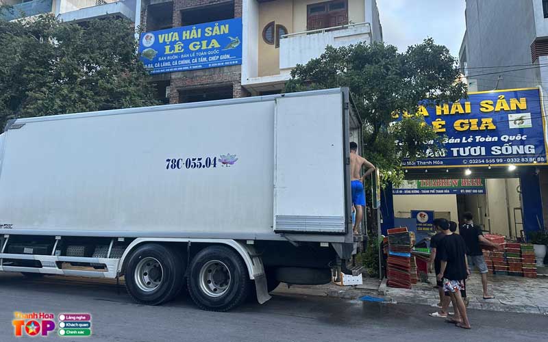 Vua-hai-san-le-gia-thanhhoatoplist